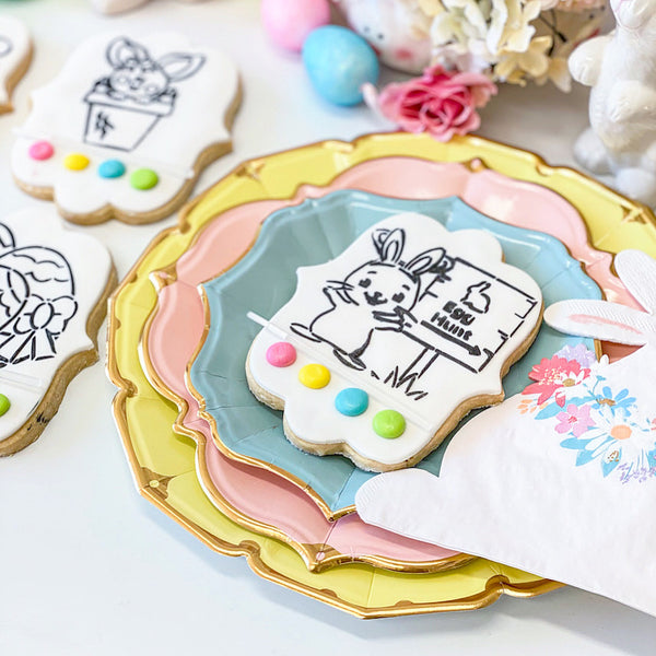 Paint Your Own (PYO) Cookie